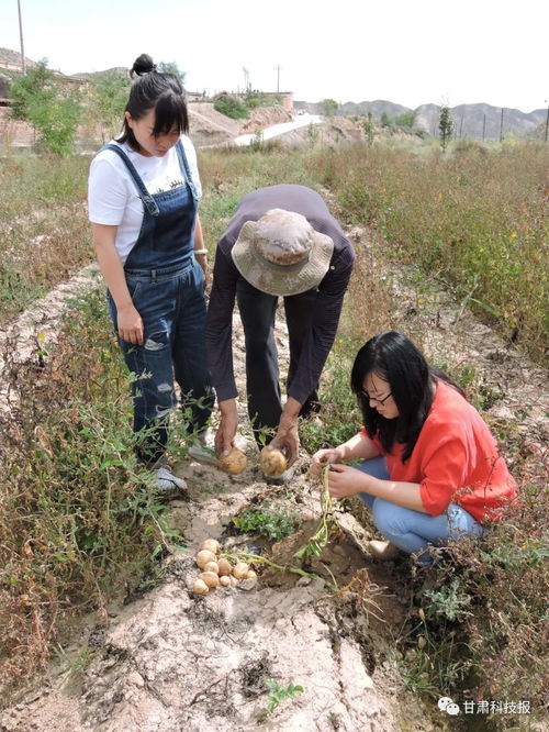 专注生物农药研发 服务绿色农业发展——记甘肃省科学院生物研究所农业生物技术研究室主任刘锦霞