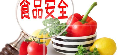 冷冻饮品与生物农业中的食品安全 聚焦不合格率与公众关切