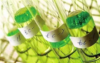 科技与农业的融合 生物农业的未来趋势